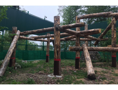 Шесть новых вольеров построят в Центре восстановления леопарда на Кавказе