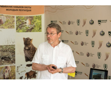 Подведены итоги первого года жизни переднеазиатских леопардов в дикой природе Кавказа